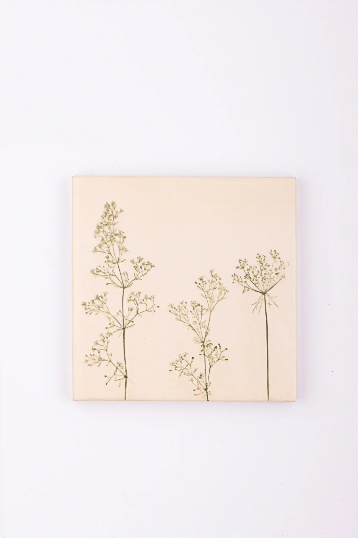 backslpash tiles for kitchen