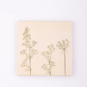 backslpash tiles for kitchen