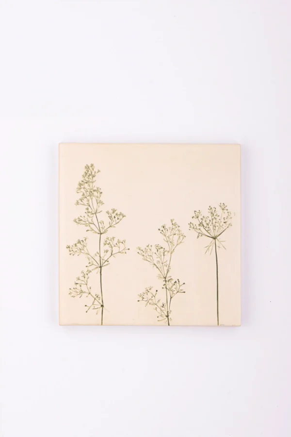 backslpash tiles for kitchen