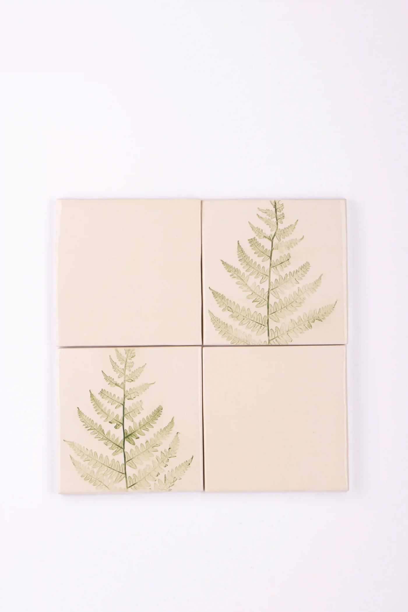 fern backsplash