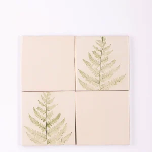 fern backsplash