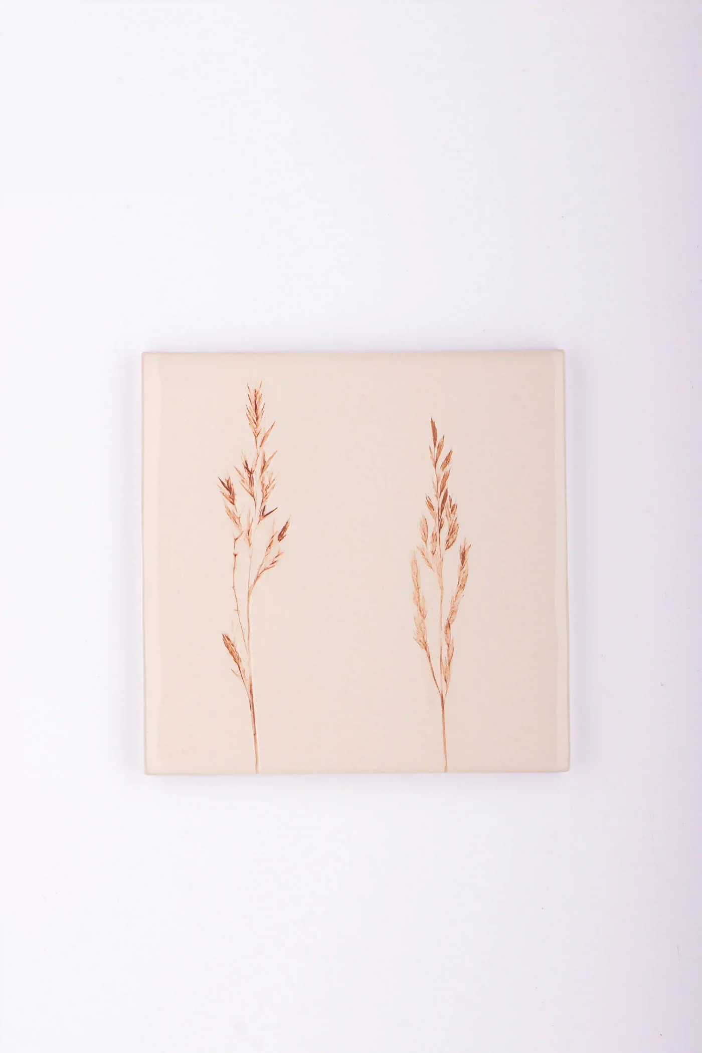 wall tiles with brown flowers